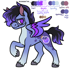 A pony design with a 1 view reference.