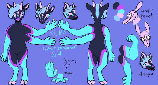 Xera - Anthro 2 view ref + several extra doodles
